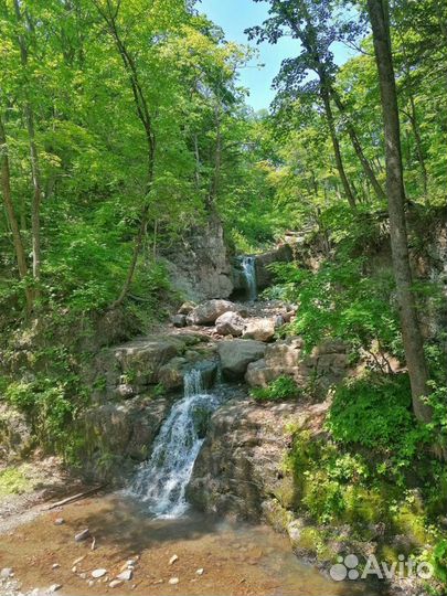 3 в 1. Белый Лев, Кравцовские вод, Земля Леопарда