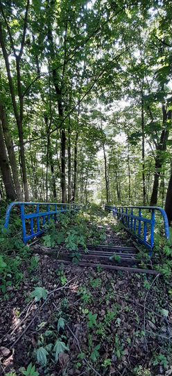 Участок 15,58 га (СНТ, ДНП)