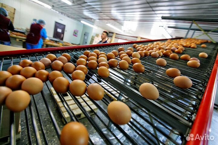 Подсобный рабочий