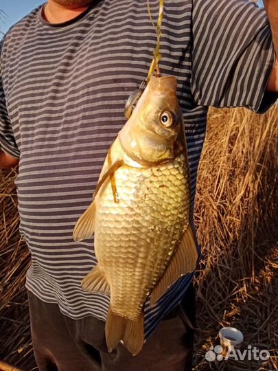 Отдых,Рыбалка и Охота в Астрахани