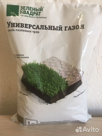 Газонная трава