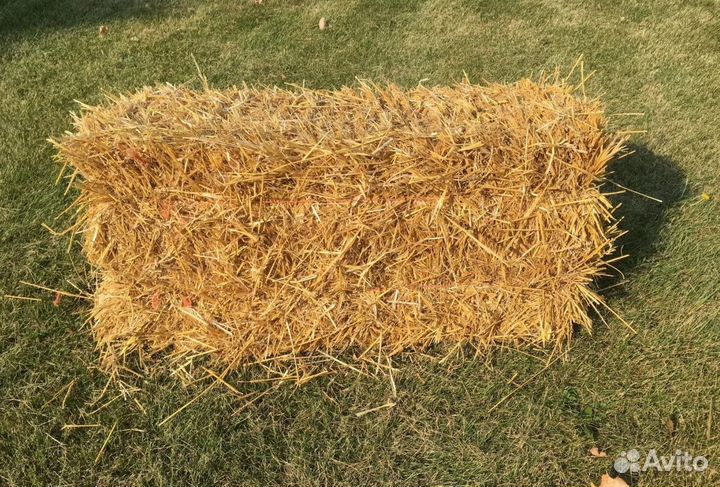 Солома в тюках в Чехове