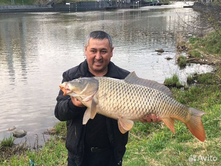 Бизнес на Wildberries и Ozon (не пвз)