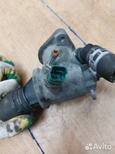 Термостат Opel Zafira B Z19DT 2006