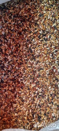 Корм для лесных птиц и канареек