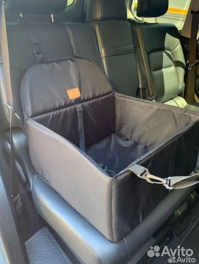 Перевозка домашних животных / больших собак/ зоота