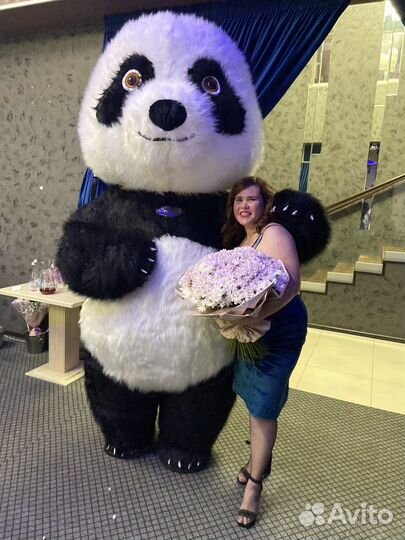 Белый мишка, Панда, Мишка Тедди, чебурашка