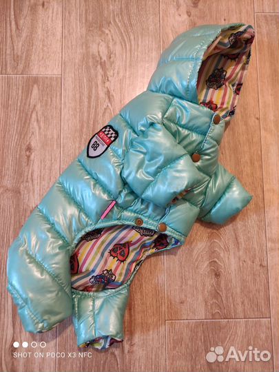 Комбинезон для собаки