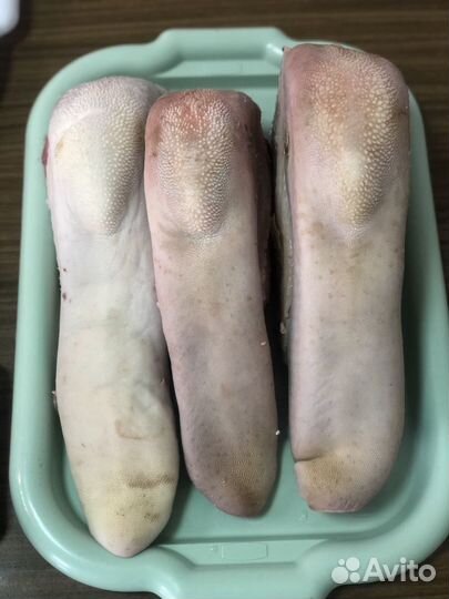 Голова говяжья. Требуха. Говядина