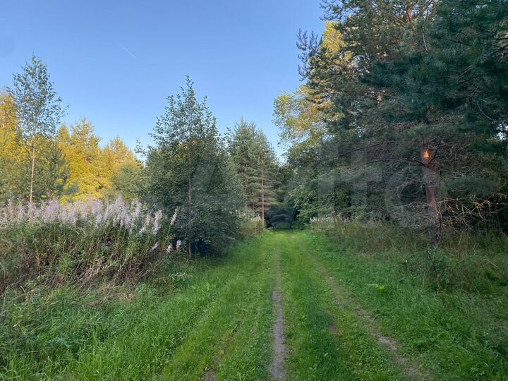 Участок 10 сот. (ИЖС)