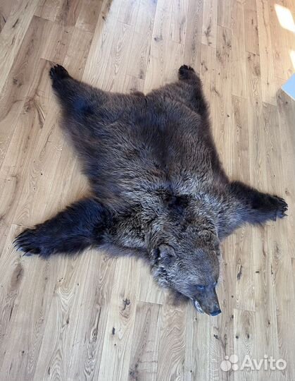 Шкура медведя имитация