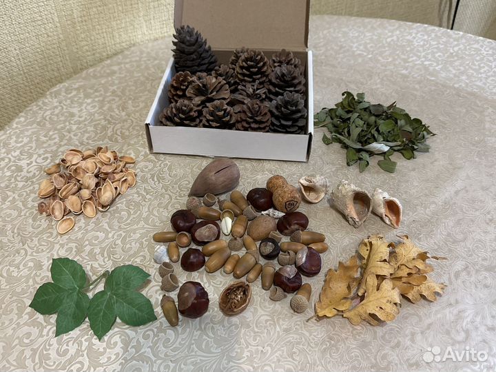 Природные материалы поделок шишки желуди/каштаны