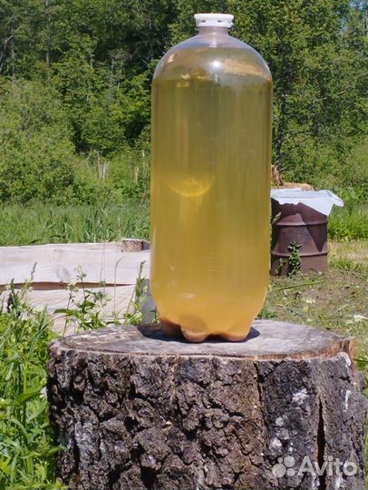 Березовый и кленовый квас