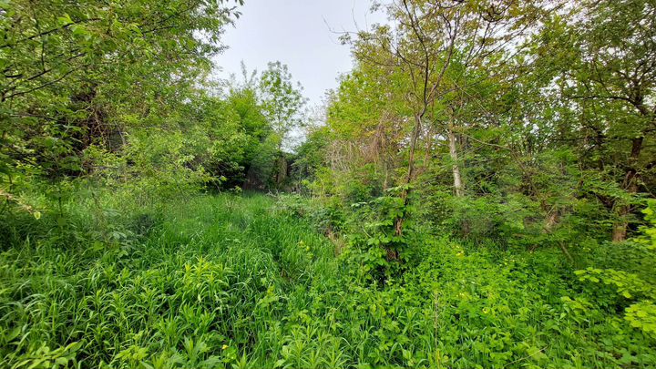 Участок 5,7 сот. (СНТ, ДНП)