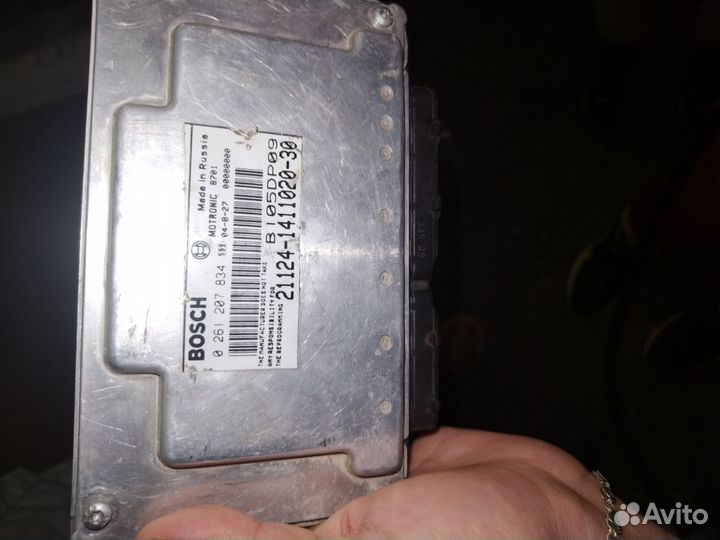 Эбу январь 7.2 124 (мозги)