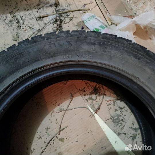 Maxxis Premitra Ice 5 SUV / SP5 205/55 R16