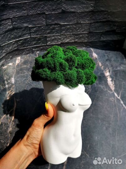 Кашпо со мхом стабилизированным