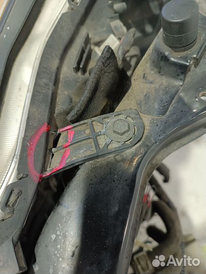 Nosecut nissan infiniti fuga M35 M45 GY50 PNY50 PY