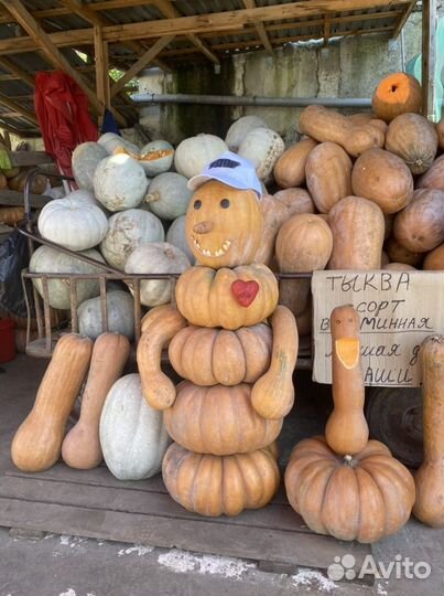 Тыква