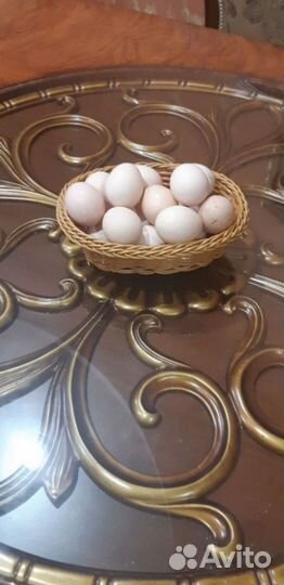 Домашние куриные яйца