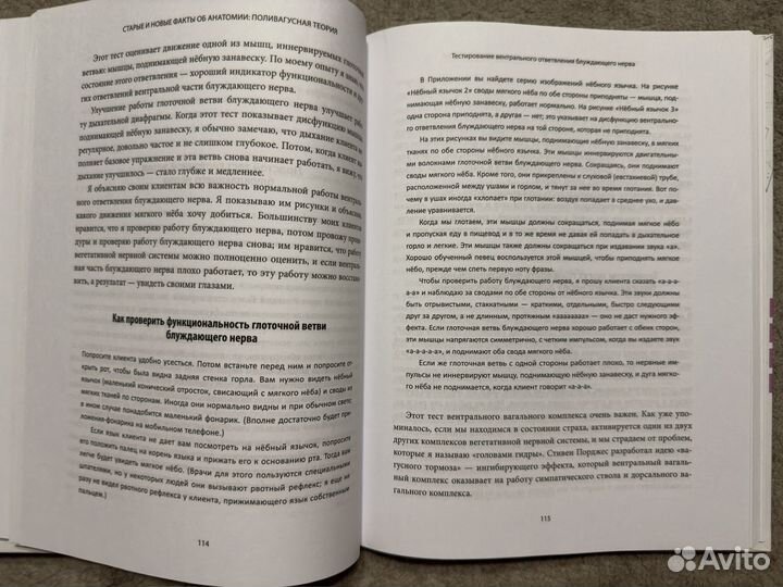 Блуждающий нерв - Стэнли Розенберг