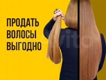 Скупка волос сдать продать волосы Петрозаводск