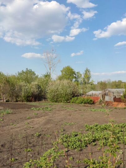 Дача 12 м² на участке 4 сот.