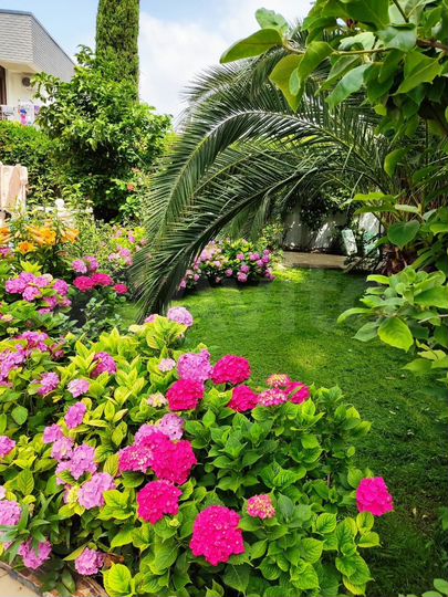 Коттедж 510 м² на участке 18 сот.