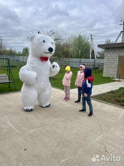 Белый мишка поздравление