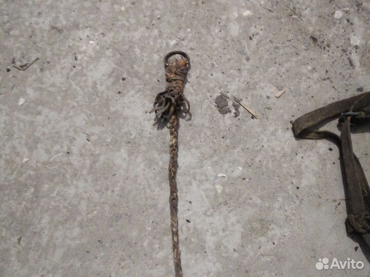 Конская сбруя