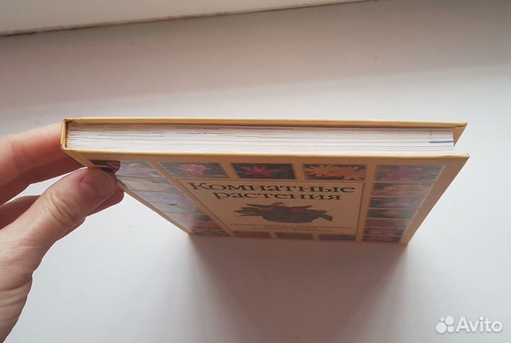 Книга Комнатные растения