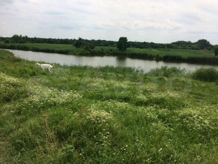 Участок 33 сот. (ИЖС)