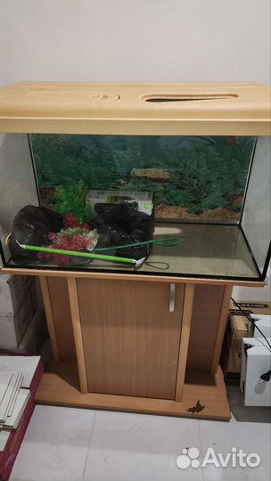Аквариум