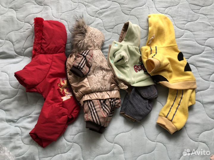 Одежда для маленьких собак