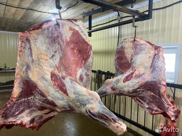 Мясо говядина халяль