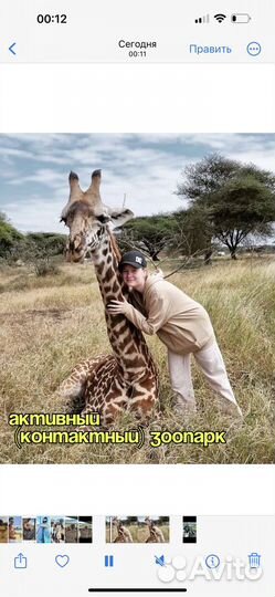 Своя на Занзибаре (услуги Занзибар)