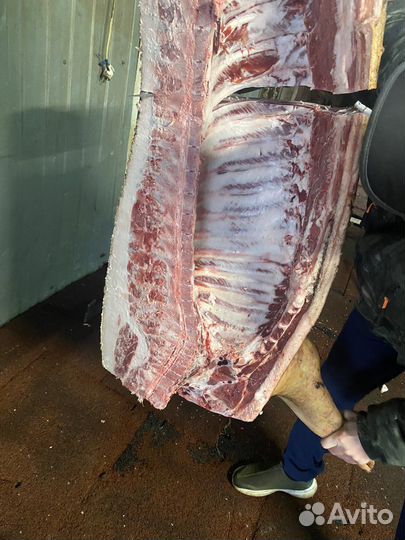 Свинина полутуши