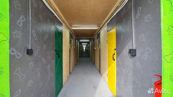 Зоогостиница/Передержка собак и кошек