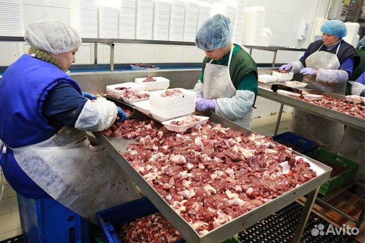 Работа на птицефабрике с гибким графиком Челябинск