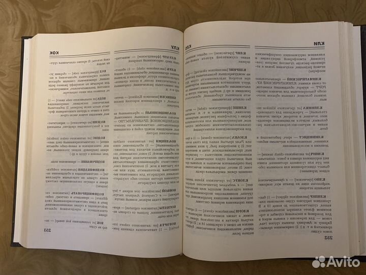 Словарь иностранных слов и выражений