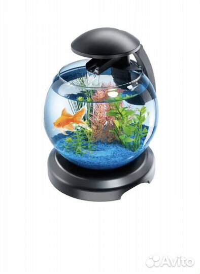 Аквариум Tetra