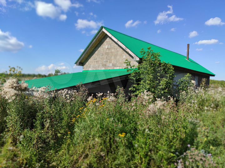 Участок 1,3 га (СНТ, ДНП)