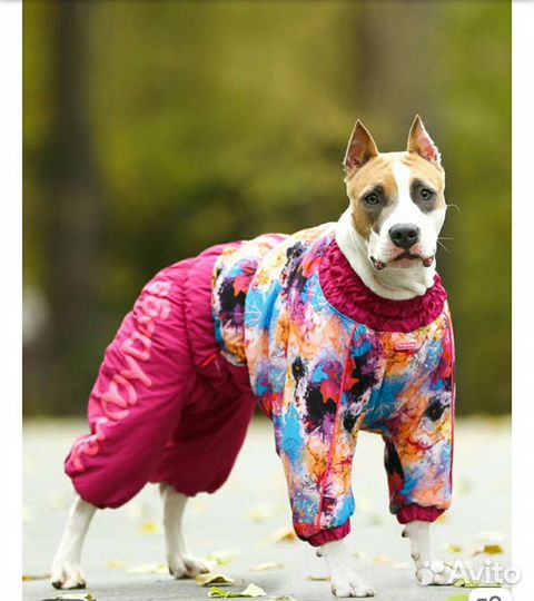 Зимний комбинезон для собаки