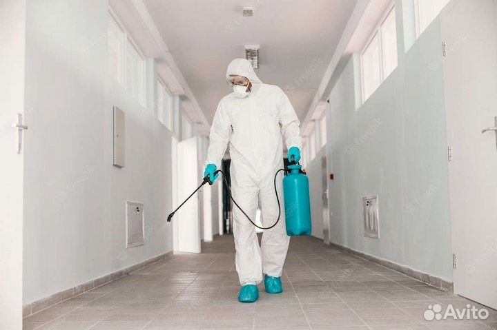 Уничтожение насекомых,плесени, запахов