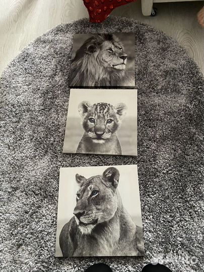 Картины 3 шт