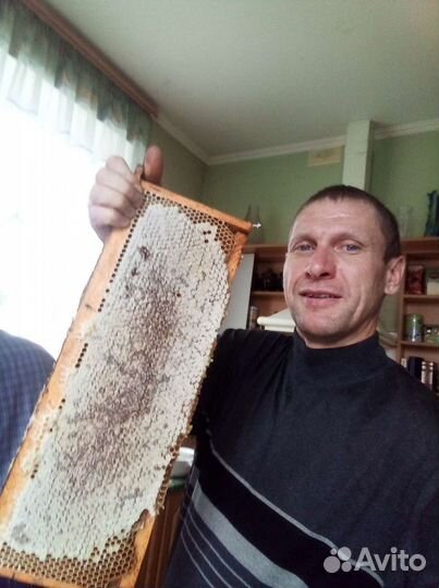 Пчеловод на час, два, три