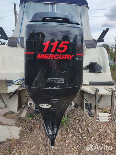 Mercury f115