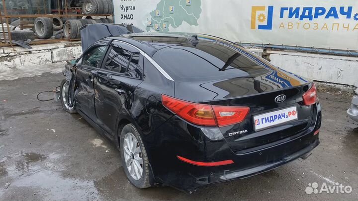 Кулак поворотный передний левый Kia Optima (TF) 51