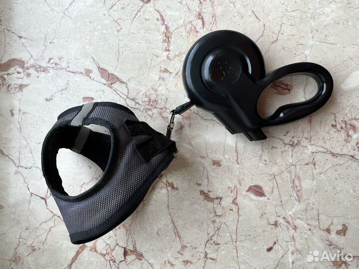 Шлейка с поводком черная