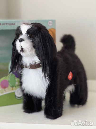 Интерактивные игрушки собака